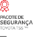 pic-pacote-seguranca